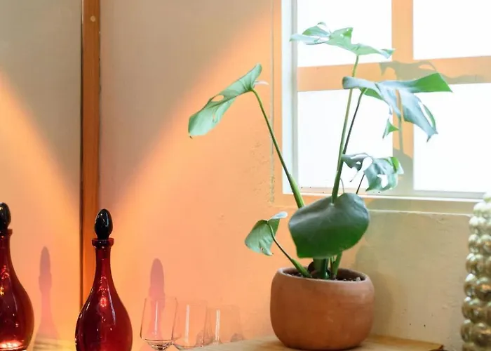 Designer Tiny House In Condesa Escandon